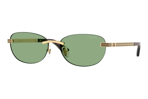 Sonnenbrille Versace VE2307 152382