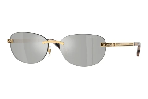 Sonnenbrille Versace VE2307 15238V