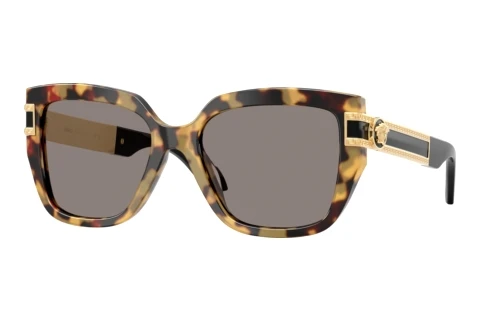 Sonnenbrille Versace VE4517U 777/87