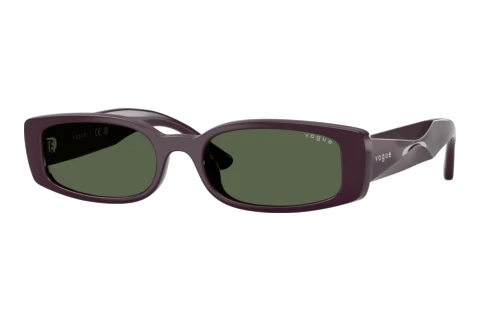 Sonnenbrille Vogue Eyewear VO5725SU 242671