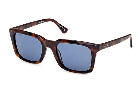 Sonnenbrille Web Eyewear WE0388 52V