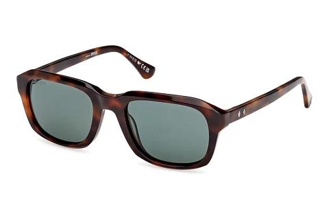 Sonnenbrille Web Eyewear WE0389 52N