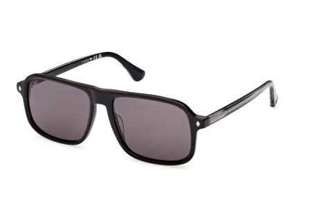 Sonnenbrille Web Eyewear WE0396 05A