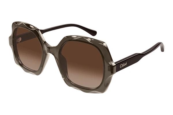 Sonnenbrille Chloé CH0226S 007