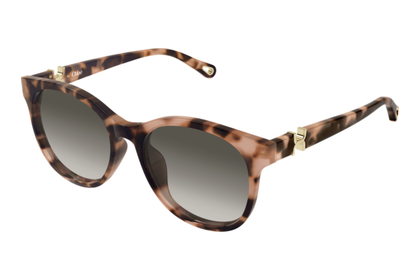 Sonnenbrille Chloé CH0375SK 002
