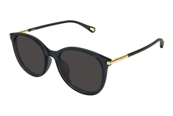 Sonnenbrille Chloé CH0397SK 001