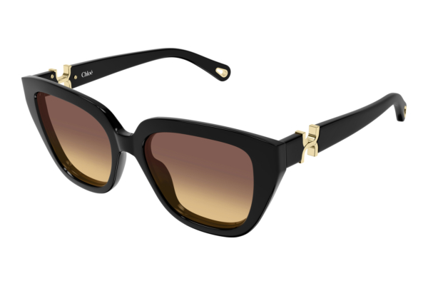 Sonnenbrille Chloé CH0410S 001