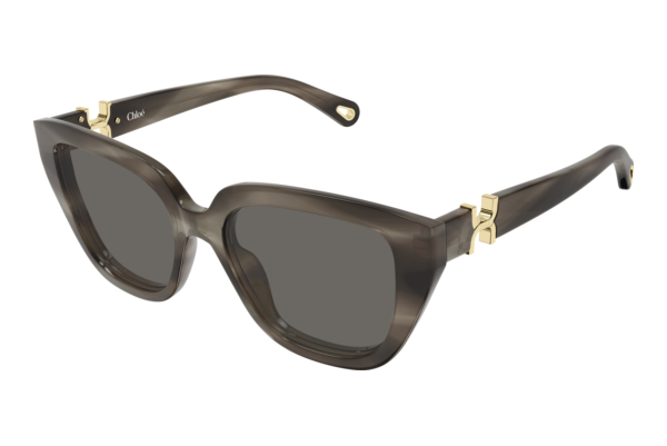 Sonnenbrille Chloé CH0410S 002