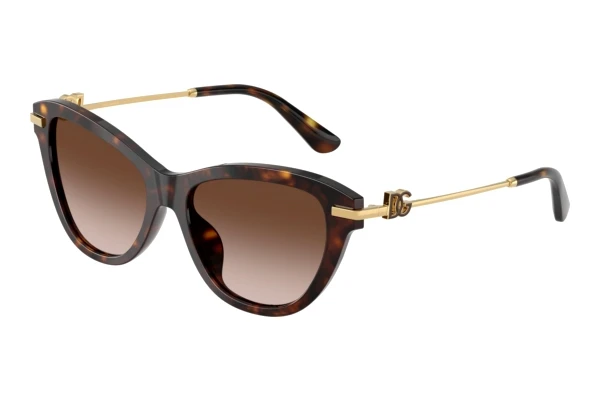 Sonnenbrille Dolce & Gabbana DG4534 502/13