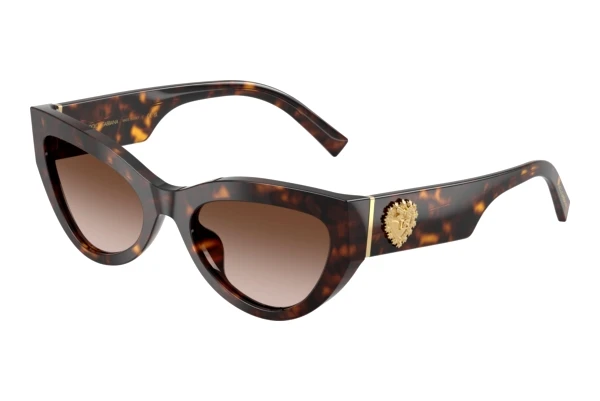 Sonnenbrille Dolce & Gabbana DG4536 502/13