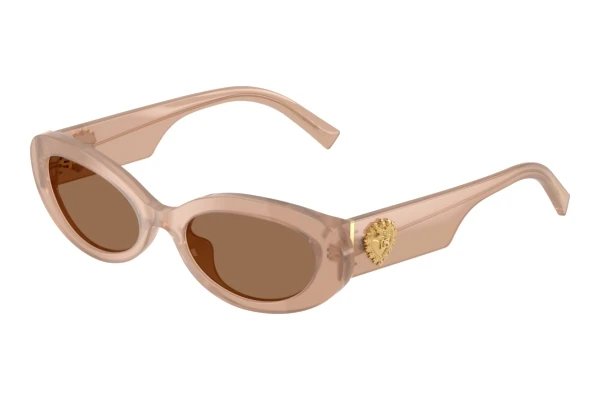 Sonnenbrille Dolce & Gabbana DG4537 304273