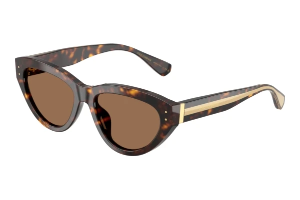 Sonnenbrille Dolce & Gabbana DG4558 502/73