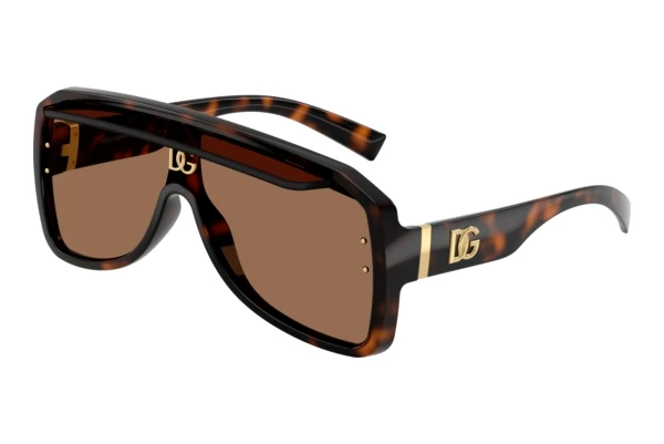 Sonnenbrille Dolce & Gabbana DG6205 502/73