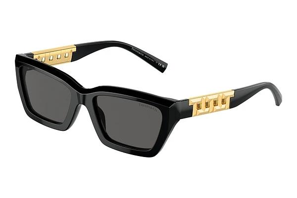 Sonnenbrille Tiffany TF4213 8001S4