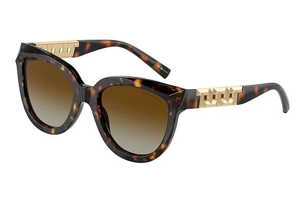 Sonnenbrille Tiffany TF4215 8015T5