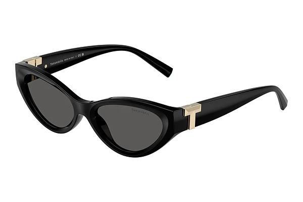 Sonnenbrille Tiffany TF4225U 8001S4