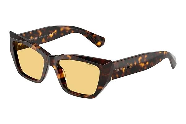 Sonnenbrille Tiffany TF4230 8015/7