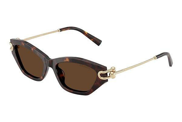 Sonnenbrille Tiffany TF4231U 80153G