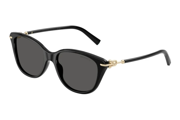 Lunettes de soleil Tiffany TF4267 8001S4
