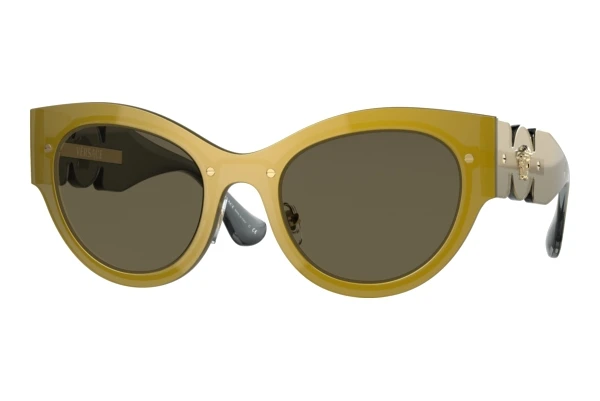 Sonnenbrille Versace VE2234 1002/3
