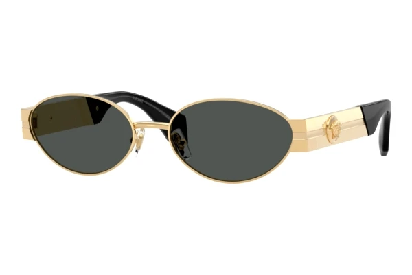 Sonnenbrille Versace VE2301 152387
