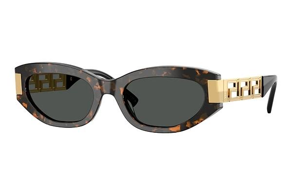Sonnenbrille Versace VE4501 552887