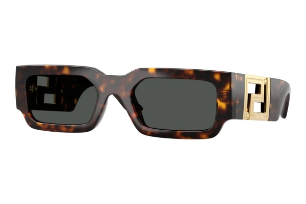 Sonnenbrille Versace VE4506U 108/87