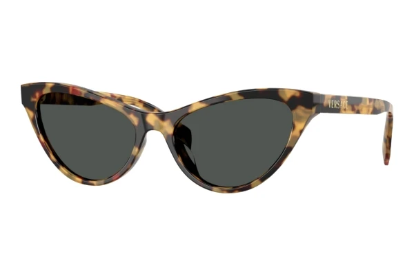 Lunettes de soleil Versace VE4522U 777/87