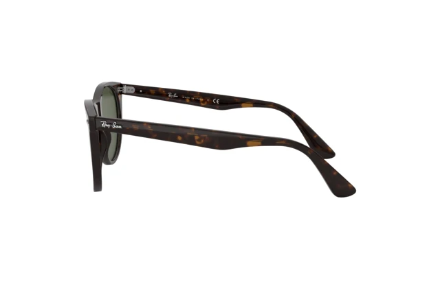 Ray-Ban Wayfarer Ii RB 2185 902/31